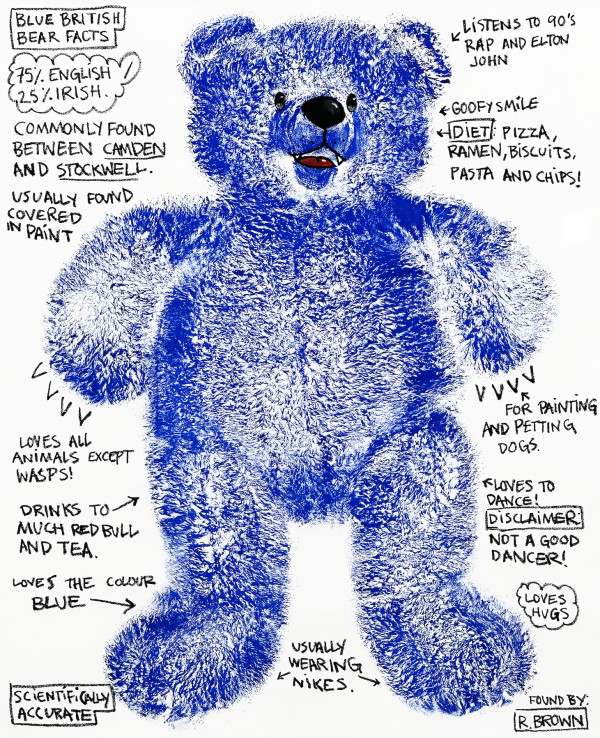 Blue British bear facts 英國藍熊的事實