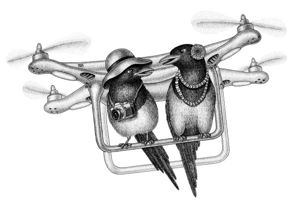 Birds– Travelers 鳥類－旅行者 by Dima Kashtalyan, Image 3.
