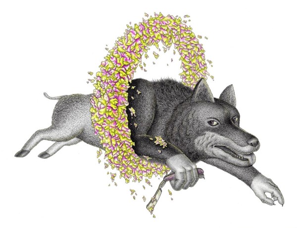 Wolf in Sheep's clothing 披著羊皮的狼 by Dima Kashtalyan, Image 1.