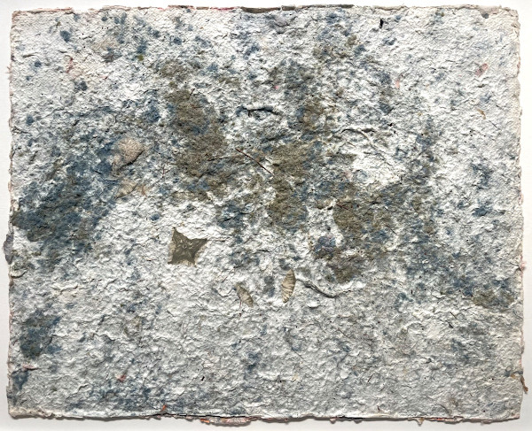 Dispersal1 by Eileen Ferara