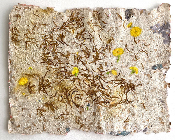 Dispersal 3 by Eileen Ferara