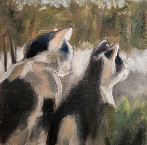 Bird Watching by Pam Jackson