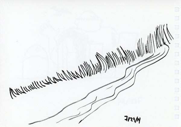 青青河边草/The Green Green* Grass by the River by Temo