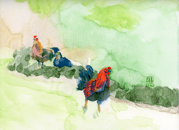 Holualoa Chickens by Temo