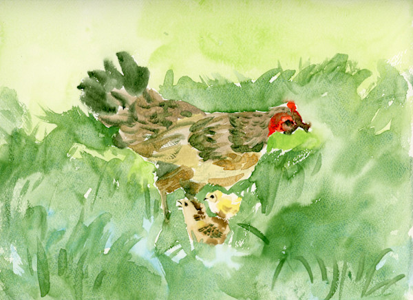 Waimea Chickens by Temo