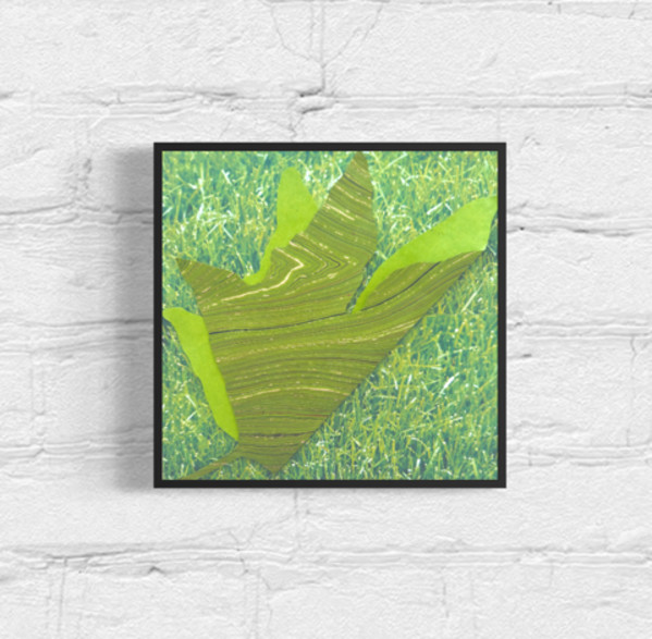 My Sycamore by Lucie Galvin, Image 2.