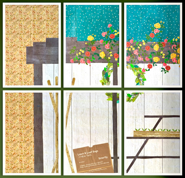 Shed by Lucie Galvin