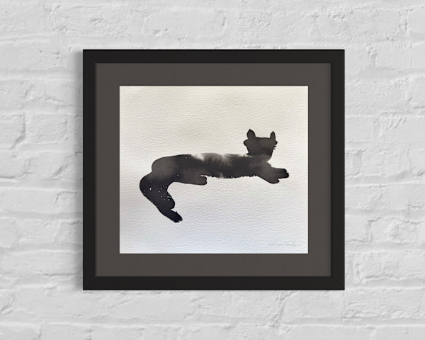 Cat 2 by Lucie Galvin