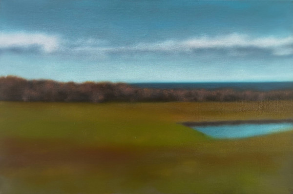 Sea Beyond Field by Christie Scheele, Image 1.
