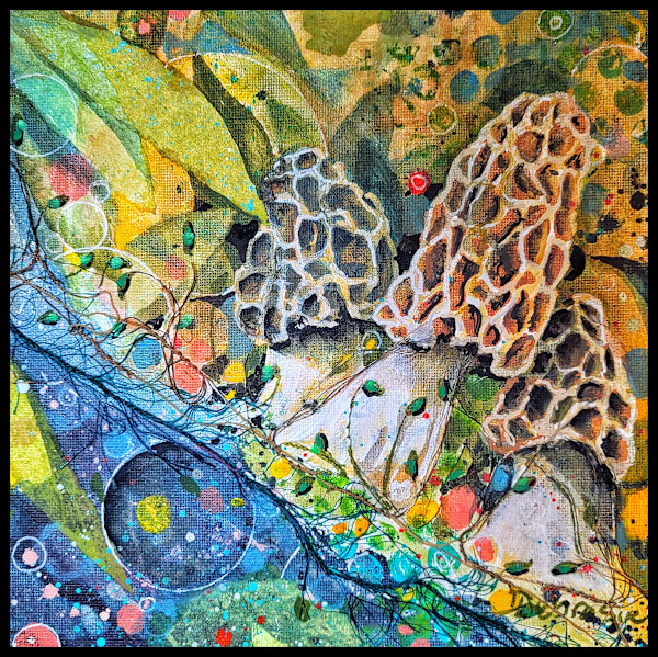 Morels by Debra Sue Solecki