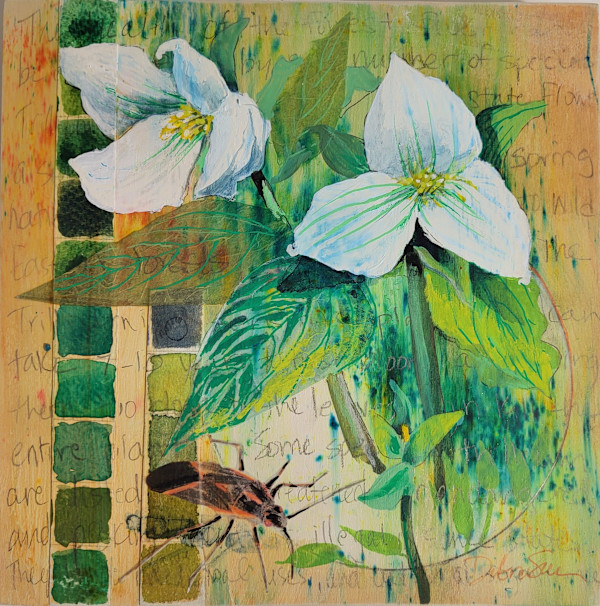 Trillium by Debra Sue Solecki