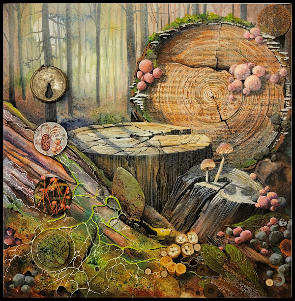 de Composition by Debra Sue Solecki