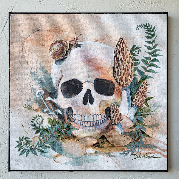 Life Cycle - Morels by Debra Sue Solecki