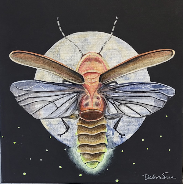 Lightening bug or Firefly? by Debra Sue Solecki