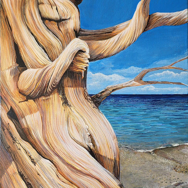 Driftwood Dance by Debra Sue Solecki
