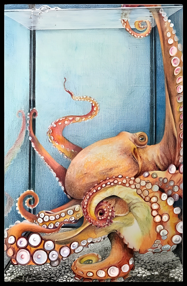 Isolated by Debra Sue Solecki