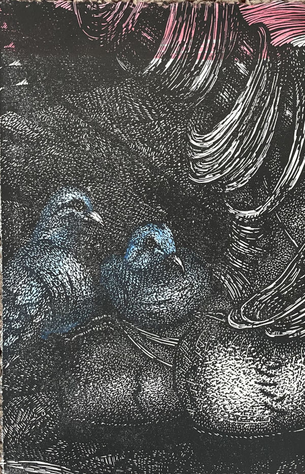 Blue Birds by Brady Nichols