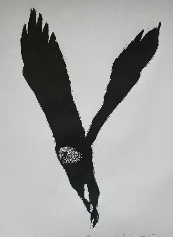 Flight by Brady Nichols