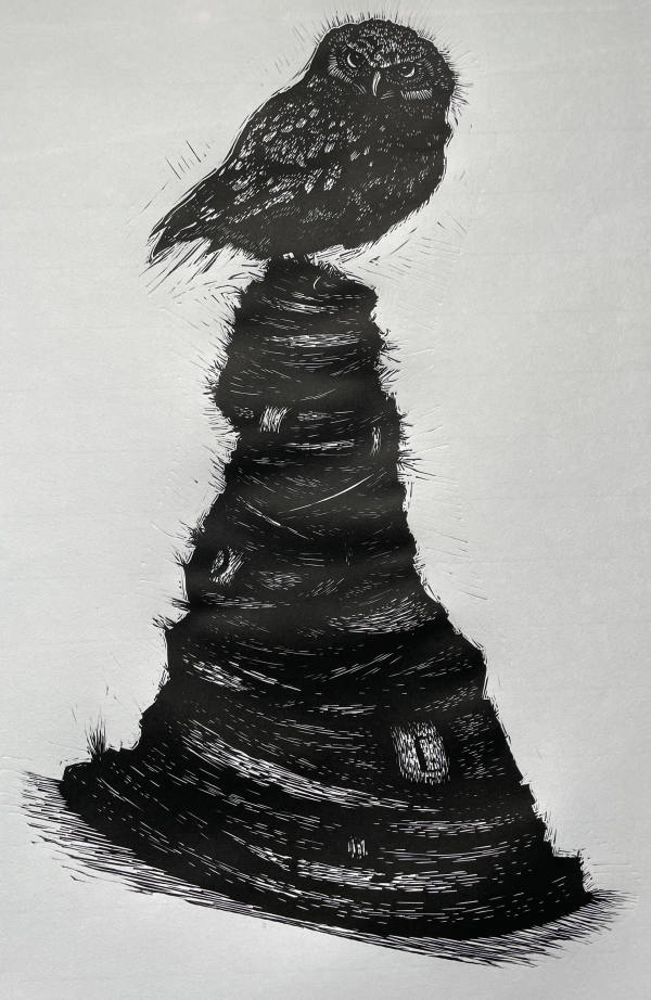Owl by Brady Nichols