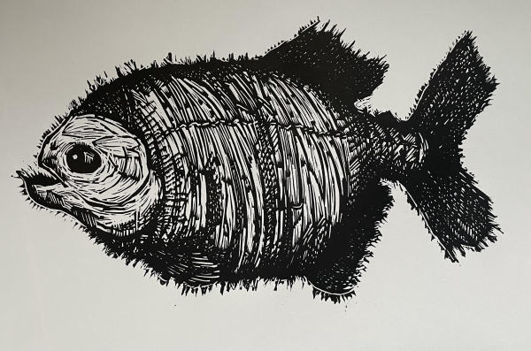 Piranha by Brady Nichols