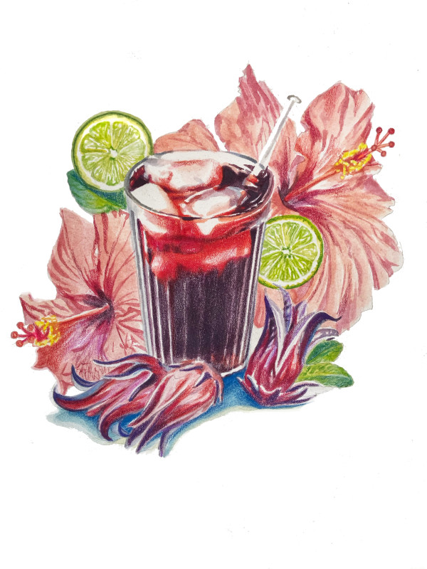 Hibiscus by Julia Wolinsky