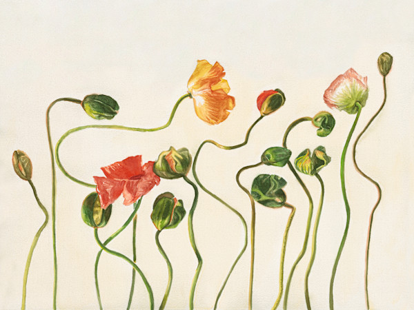 Peonies Print Medium by Julia Wolinsky