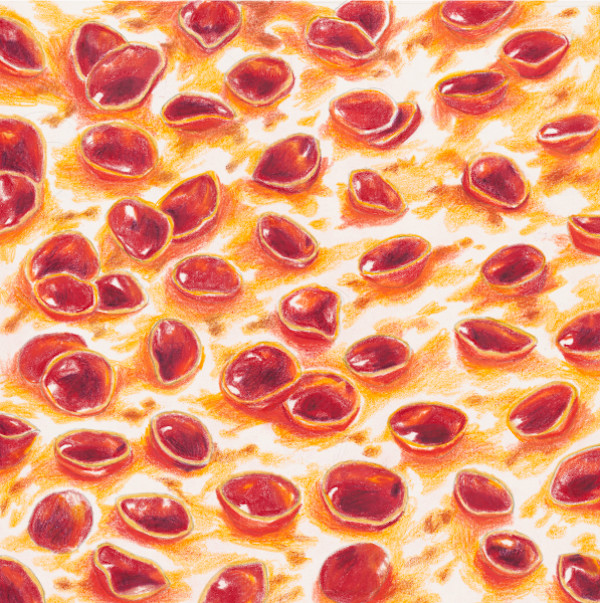 Pepperoni Pizza by Julia Wolinsky