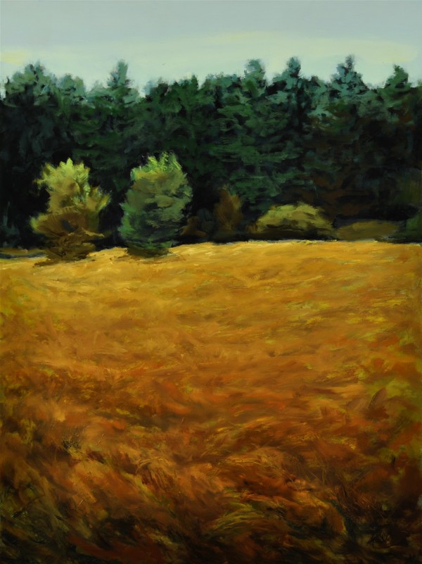 Lopez Meadow by Rosie Brouse Fine Art