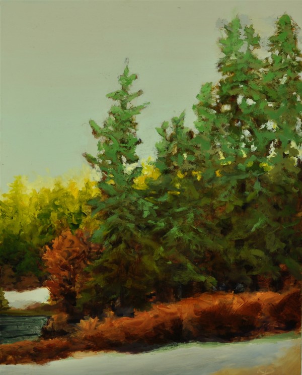 First Light by Rosie Brouse Fine Art