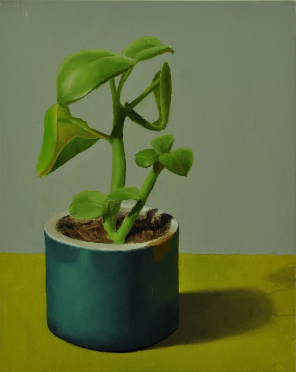 Bexx's Succulent by Rosie Brouse Fine Art