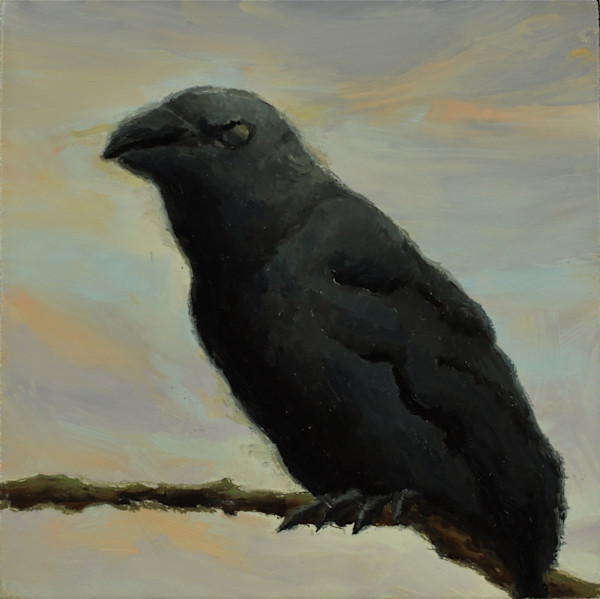 Crow 2 by Rosie Brouse Fine Art