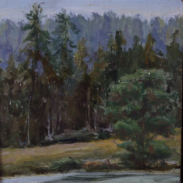 Lone Lake by Rosie Brouse Fine Art