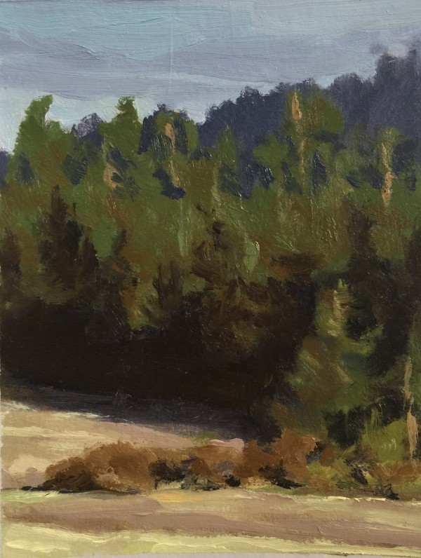 Lopez Forest by Rosie Brouse Fine Art
