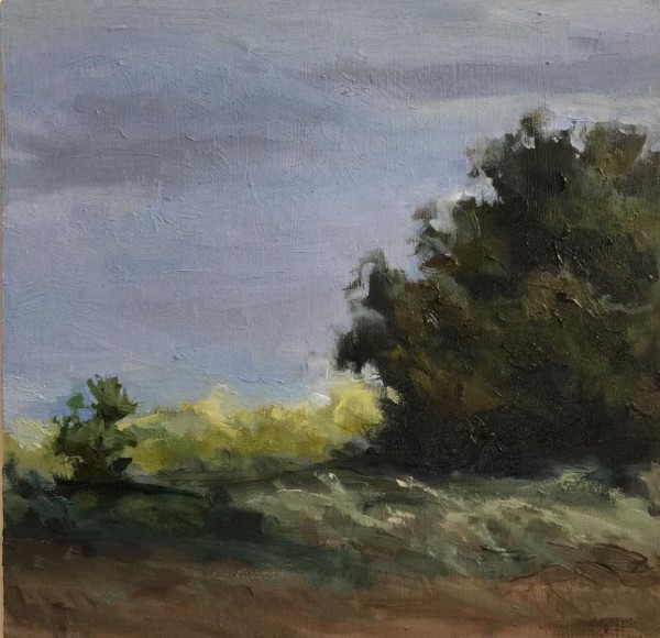 Mt View by Rosie Brouse Fine Art