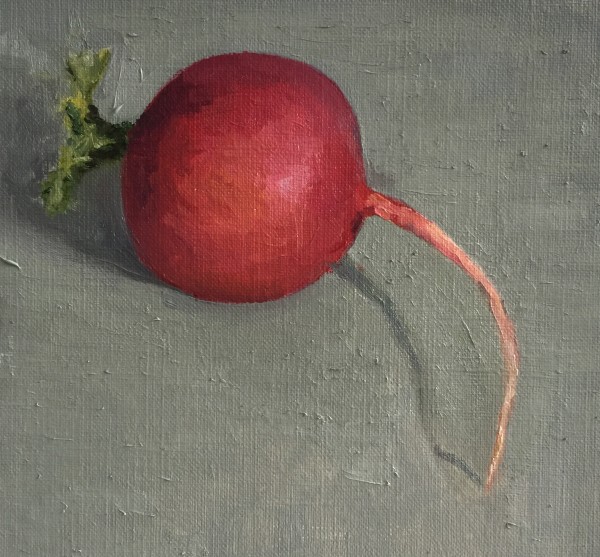 Raddish by Rosie Brouse Fine Art