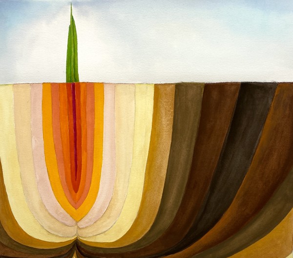 Spring by Virginia Shepley