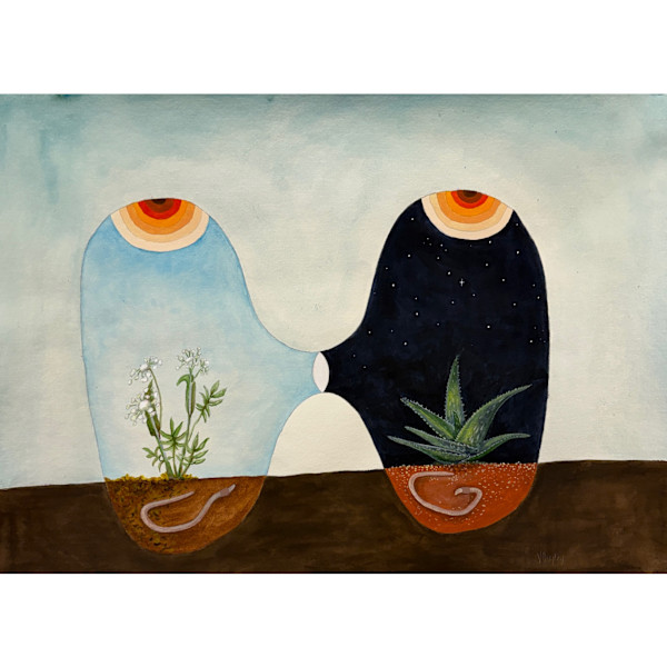 Plant Medicine: Angelica and Aloe Vera by Virginia Shepley, Image 1.