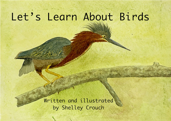 Let's Learn About Birds by Shelley Crouch