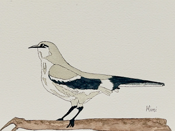 Mockingbird by Shelley Crouch