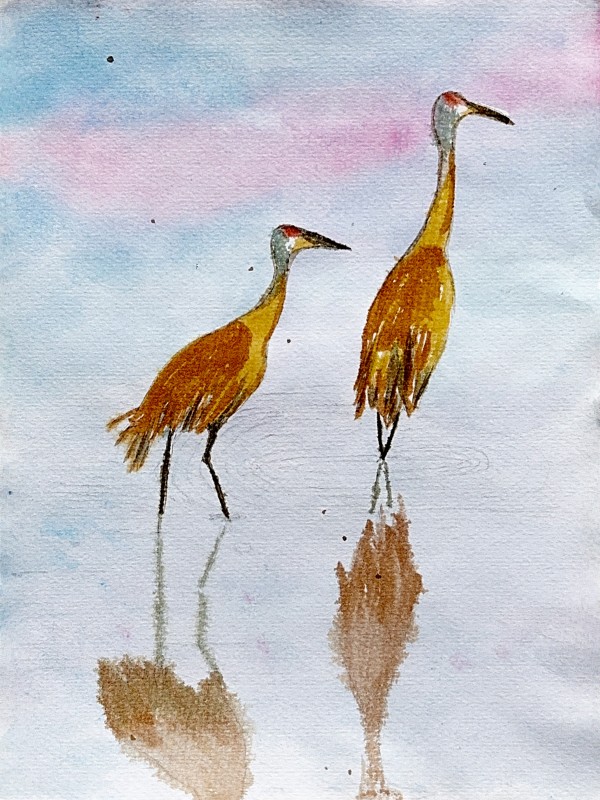 Sandhill Reflections by Shelley Crouch