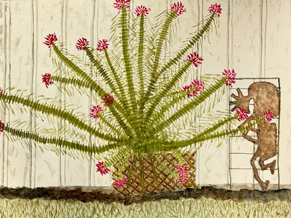 Kokopelli and the Dance of the Spider Flower by Shelley Crouch