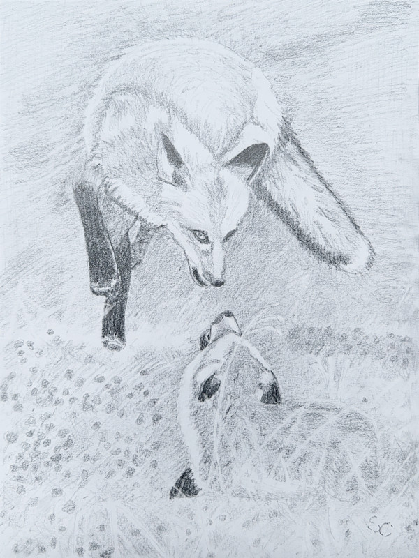 Fantastic Mr. Fox by Shelley Crouch