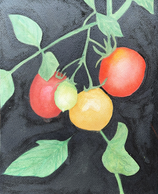 Hang on Little Tomato by Shelley Crouch