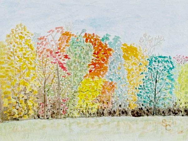 Field Notes from Autumn by Shelley Crouch