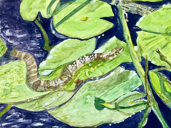 Among the Lilies by Shelley Crouch