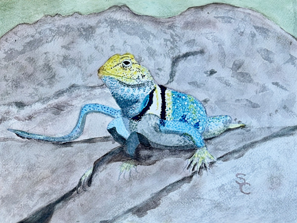 Desert Jewel by Shelley Crouch