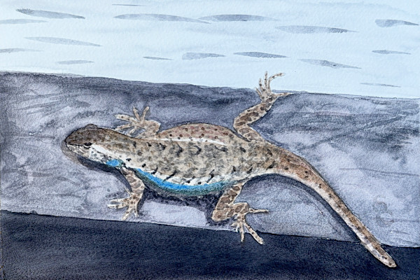 Lounge Lizard by Shelley Crouch