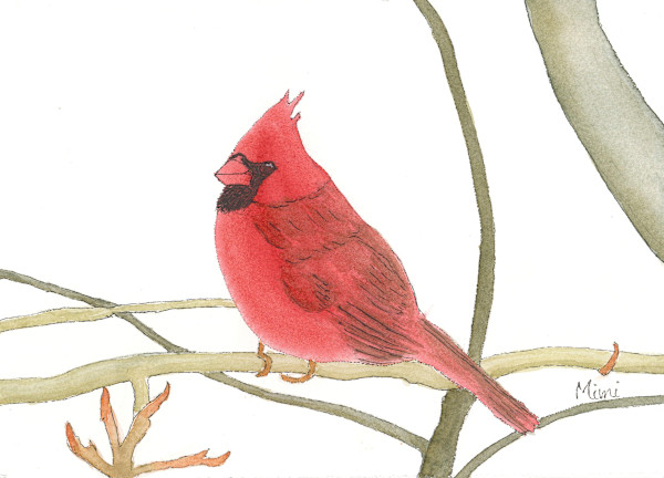 Winter Red (Cardinal) by Shelley Crouch, Image 1.