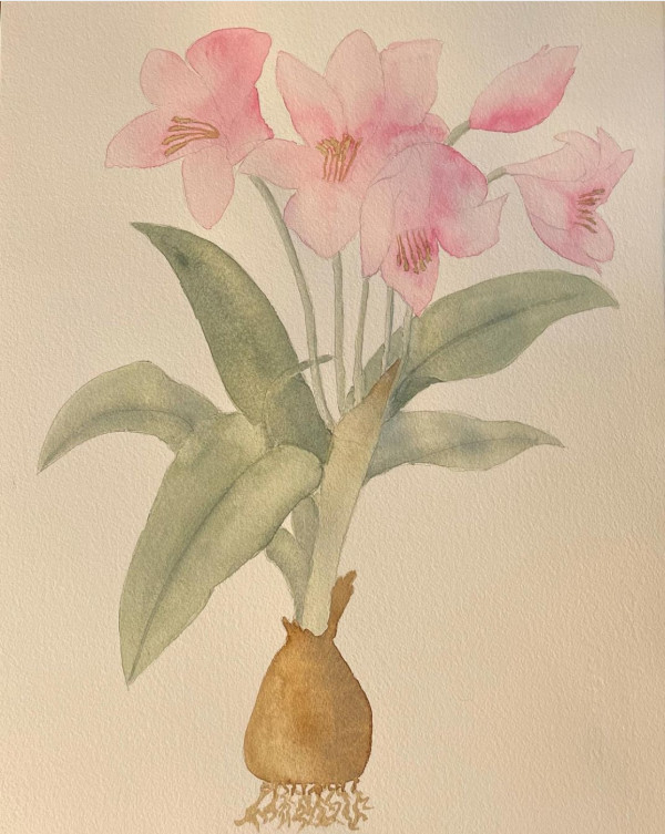 Pink botanical by Shelley Crouch