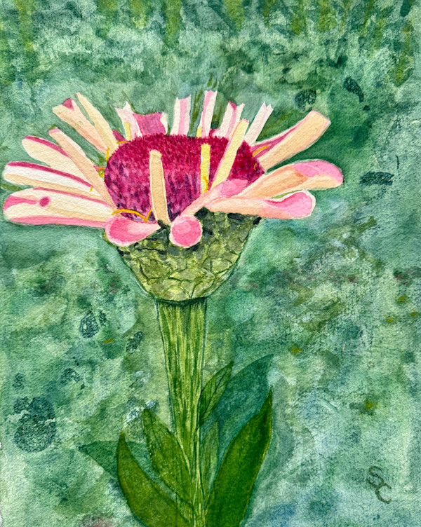 The Quiet Unfurling by Shelley Crouch